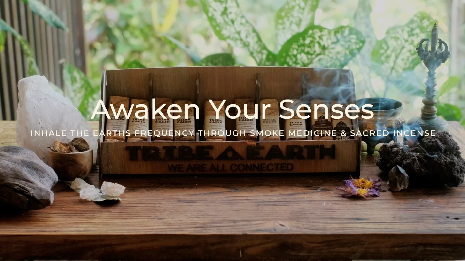 Tribe Earth incense